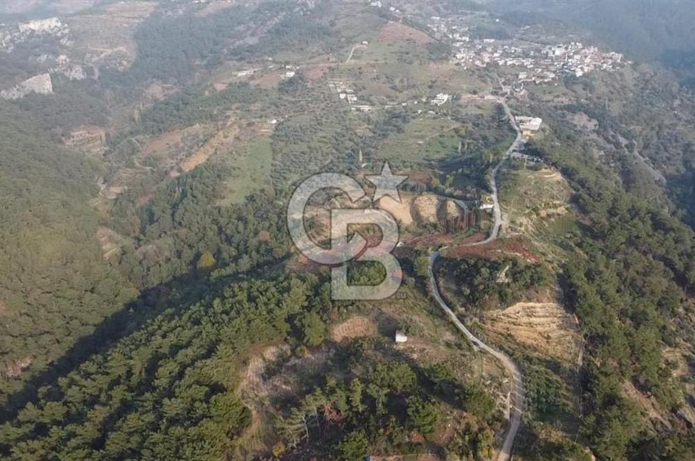 Kavacık’da geniş arazi içerisinde müstakil ev