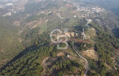 Kavacık’da geniş arazi içerisinde müstakil ev