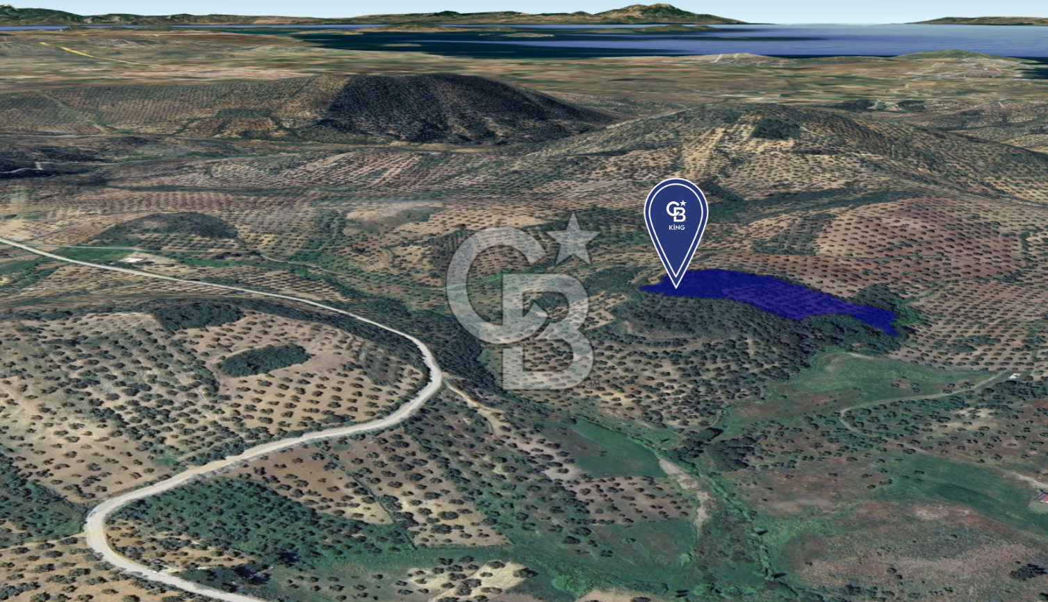 CB KİNG'DEN BALIKESİR/GÖMEÇ KUYUALAN MAH.SATILIK ZEYTİNLİK