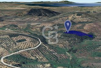 CB KİNG'DEN BALIKESİR/GÖMEÇ KUYUALAN MAH.SATILIK ZEYTİNLİK - 1 - 313298