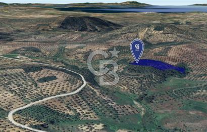 CB KİNG'DEN BALIKESİR/GÖMEÇ KUYUALAN MAH.SATILIK ZEYTİNLİK