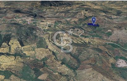CB KİNG'DEN BALIKESİR/GÖMEÇ KUYUALAN MAH.SATILIK ZEYTİNLİK