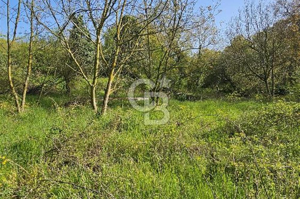 BİGA ÇELTİK’TE DOĞA İÇİNDE 124m² SATILIK ARSA