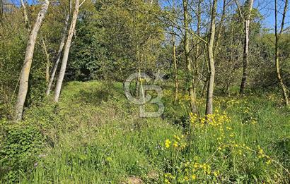 BİGA ÇELTİK’TE DOĞA İÇİNDE 124m² SATILIK ARSA