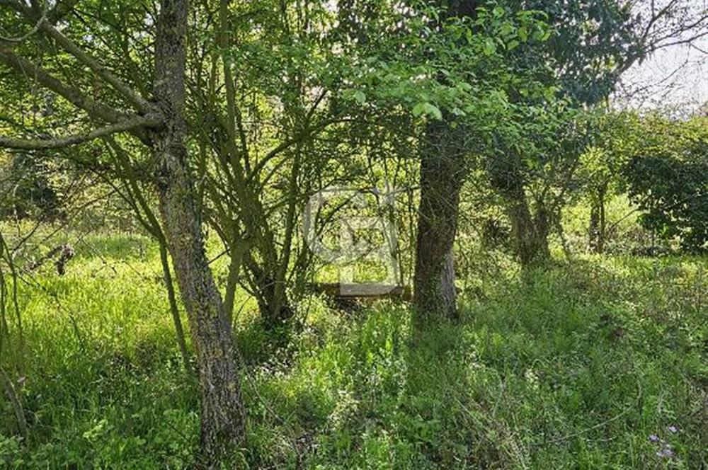 BİGA ÇELTİK’TE DOĞA İÇİNDE 124m² SATILIK ARSA