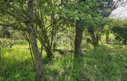 BİGA ÇELTİK’TE DOĞA İÇİNDE 124m² SATILIK ARSA