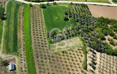 ÇANAKKALE ADATEPE KÖYÜ’NDE BOĞAZ MANZARALI SATILIK TARLA