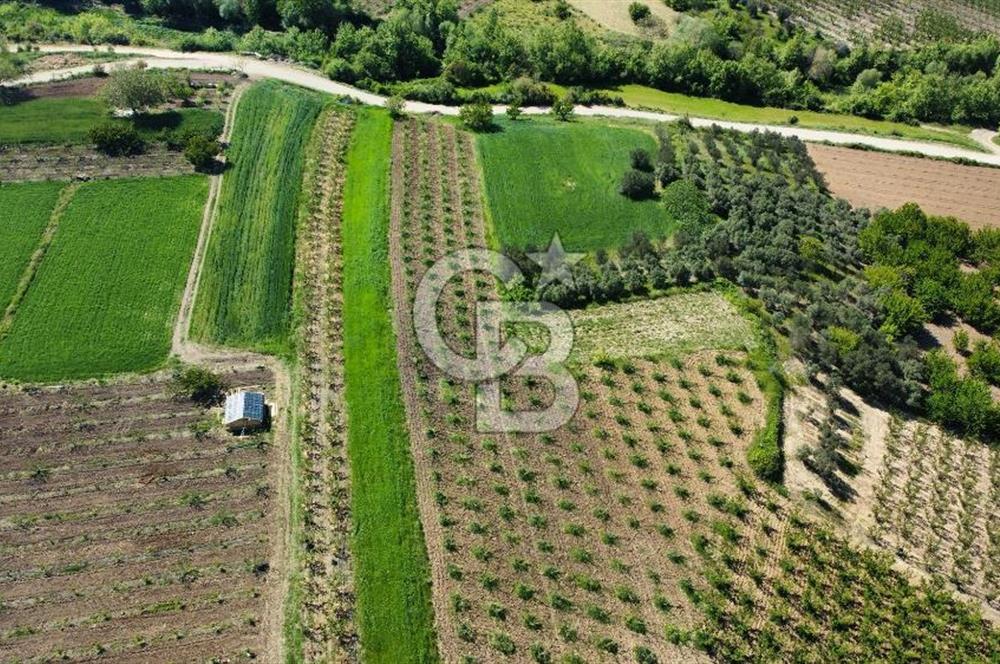 ÇANAKKALE ADATEPE KÖYÜ’NDE BOĞAZ MANZARALI SATILIK TARLA
