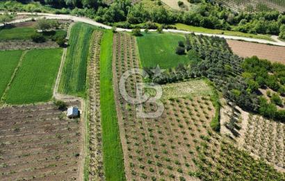 ÇANAKKALE ADATEPE KÖYÜ’NDE BOĞAZ MANZARALI SATILIK TARLA