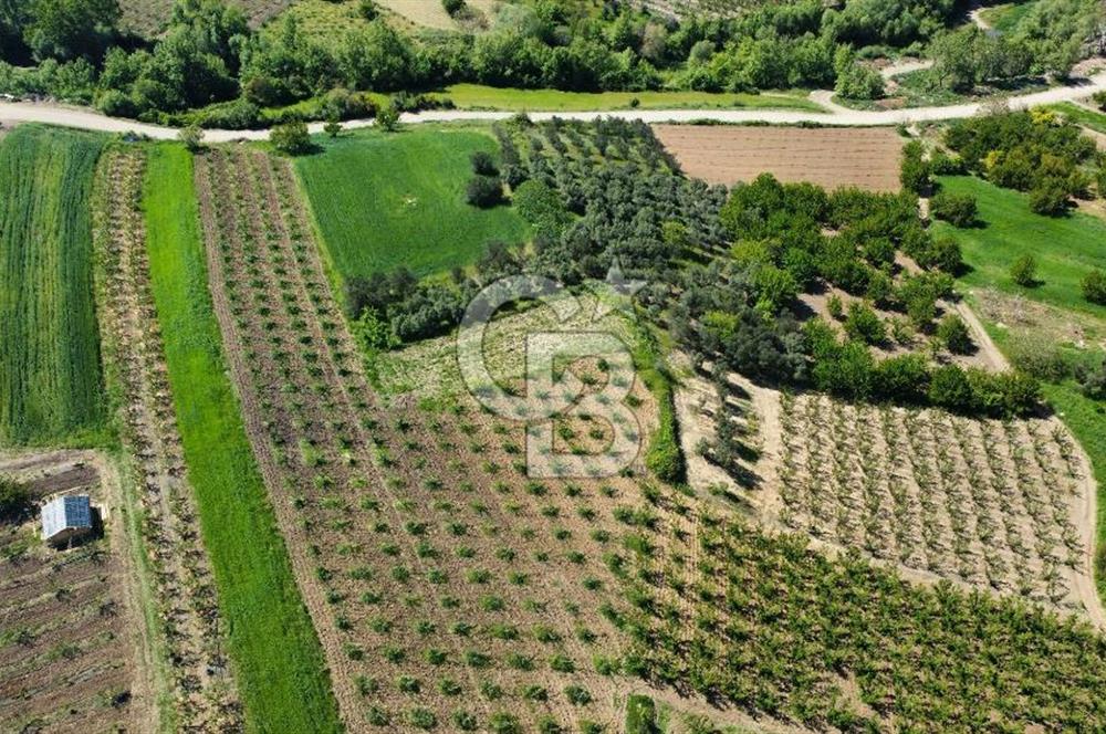 ÇANAKKALE ADATEPE KÖYÜ’NDE BOĞAZ MANZARALI SATILIK TARLA