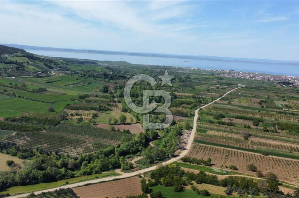 ÇANAKKALE ADATEPE KÖYÜ’NDE BOĞAZ MANZARALI SATILIK TARLA