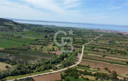 ÇANAKKALE ADATEPE KÖYÜ’NDE BOĞAZ MANZARALI SATILIK TARLA