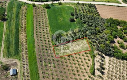 ÇANAKKALE ADATEPE KÖYÜ’NDE BOĞAZ MANZARALI SATILIK TARLA