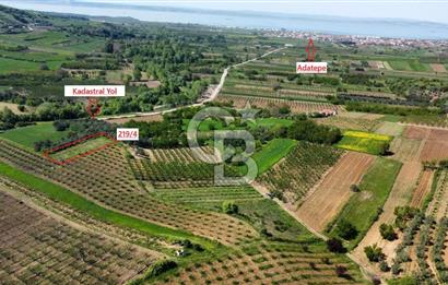 ÇANAKKALE ADATEPE KÖYÜ’NDE BOĞAZ MANZARALI SATILIK TARLA