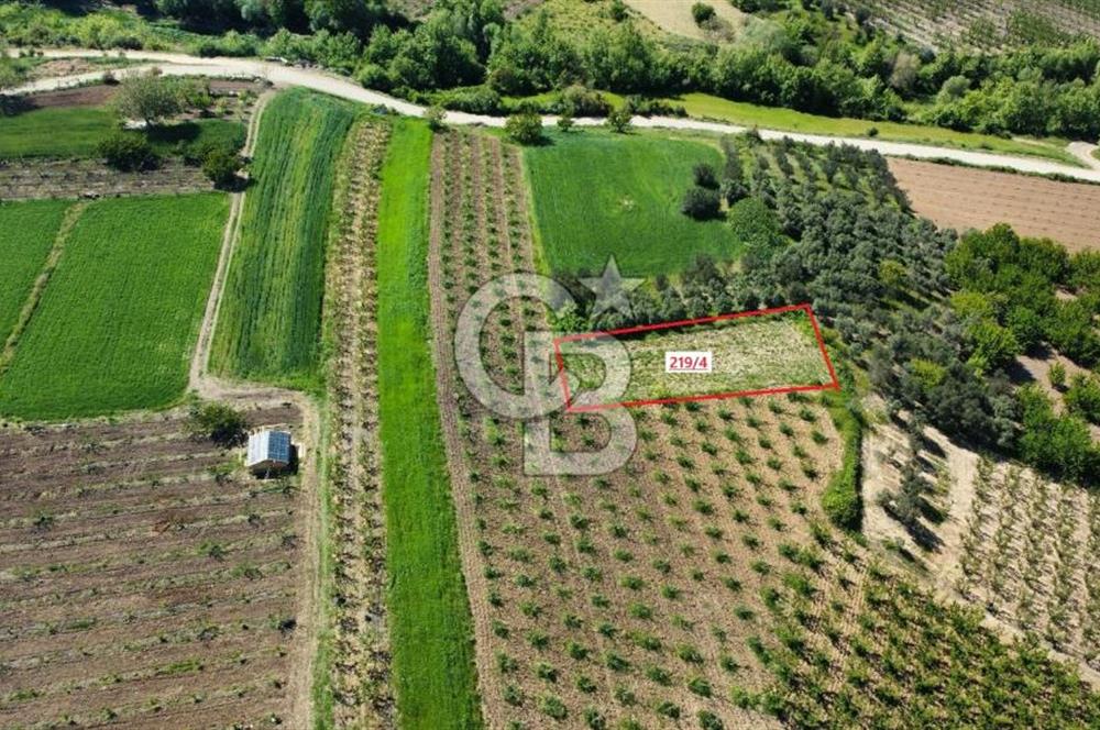 ÇANAKKALE ADATEPE KÖYÜ’NDE BOĞAZ MANZARALI SATILIK TARLA