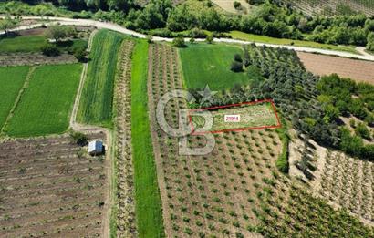 ÇANAKKALE ADATEPE KÖYÜ’NDE BOĞAZ MANZARALI SATILIK TARLA