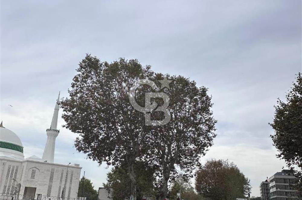 CB Fly'dan Pendikte Çift Terasıda Deniz Manzaralı Dubleks Daire!