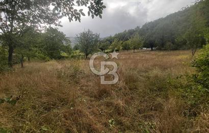 COLDWELL BANKER NET GAYRİMENKUL'DEN ARTVİNDE SATLIK TARLA