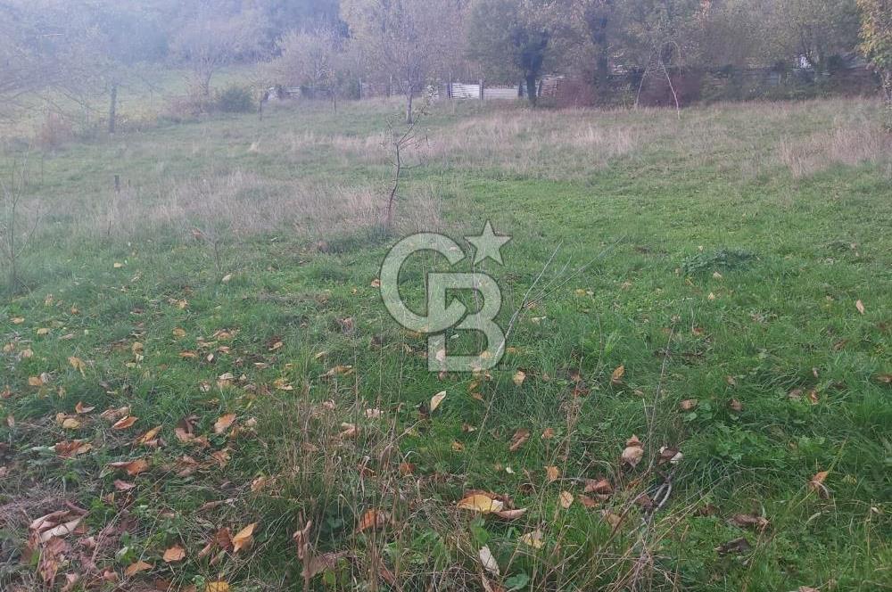 COLDWELL BANKER NET GAYRİMENKUL'DEN ARTVİNDE SATLIK TARLA