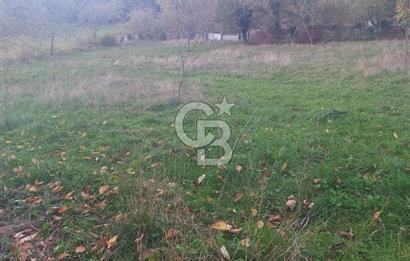 COLDWELL BANKER NET GAYRİMENKUL'DEN ARTVİNDE SATLIK TARLA