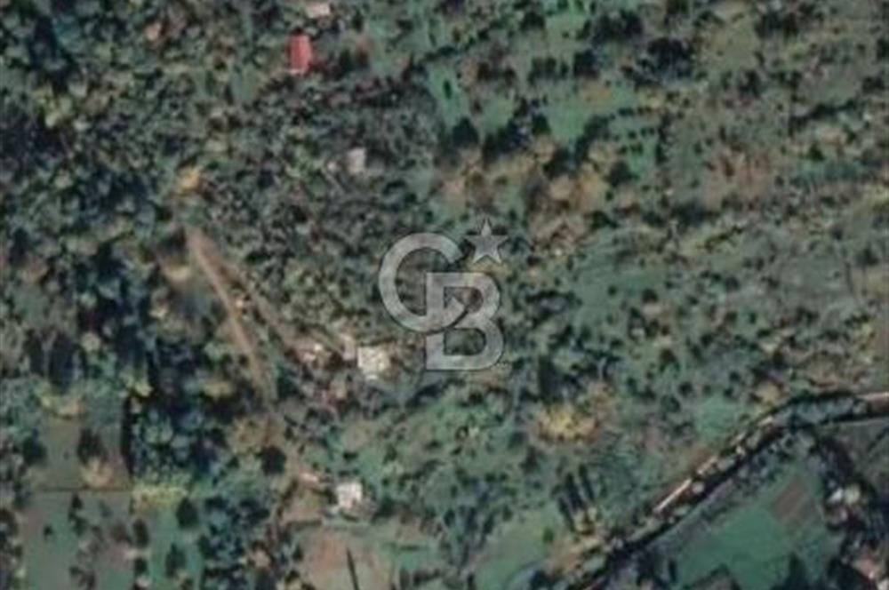 COLDWELL BANKER NET GAYRİMENKUL'DEN ARTVİNDE SATLIK TARLA