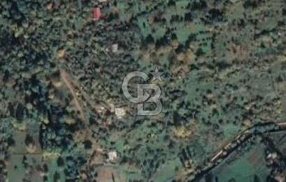 COLDWELL BANKER NET GAYRİMENKUL'DEN ARTVİNDE SATLIK TARLA