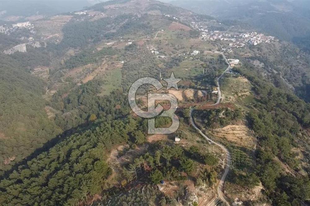 Kavacık’da geniş arazi içerisinde müstakil ev