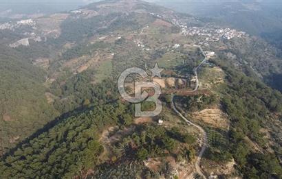 Kavacık’da geniş arazi içerisinde müstakil ev