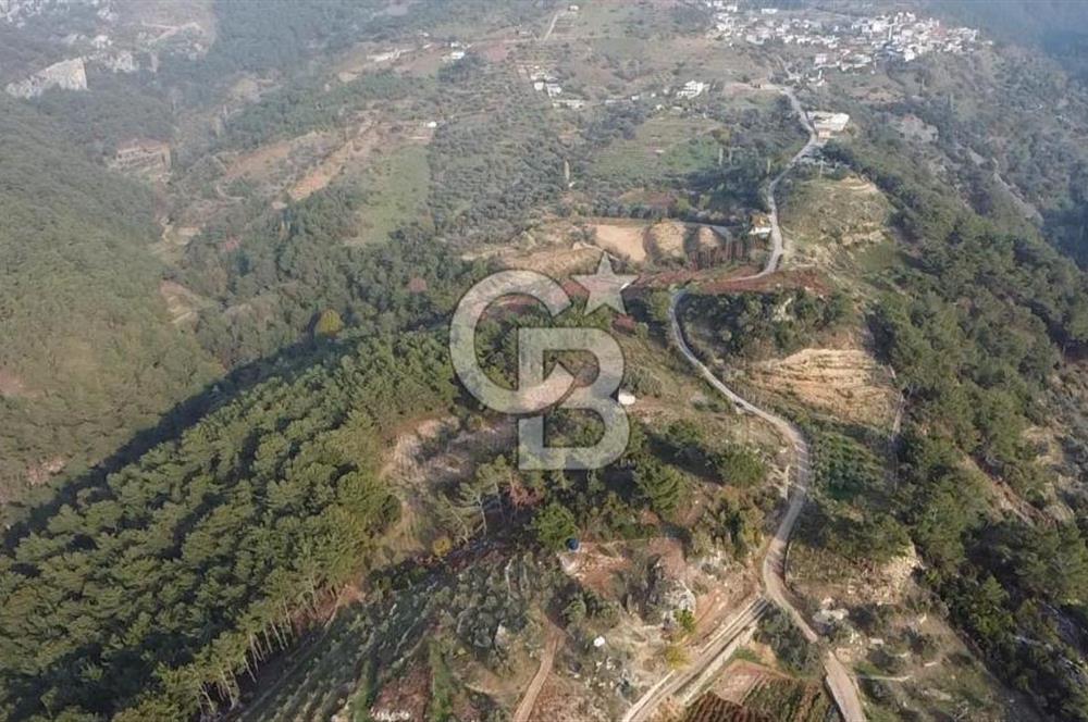 Kavacık’da geniş arazi içerisinde müstakil ev