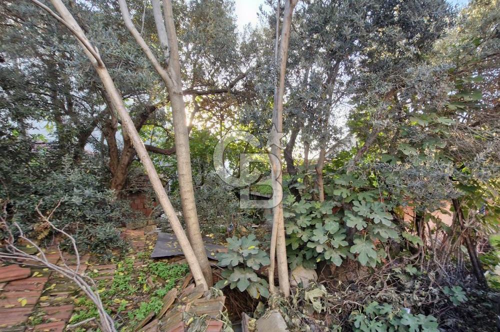 GEBZE ULUS MH 4 KAT KONUT İMARLIK SATILIK ARSA