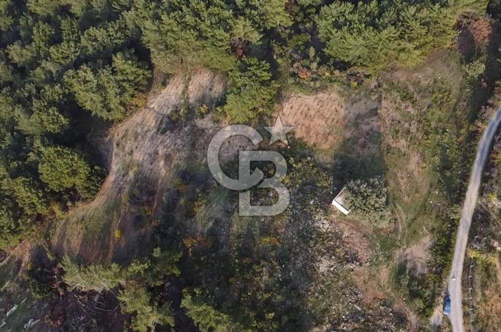 Kavacık’da geniş arazi içerisinde müstakil ev