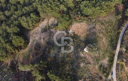 Kavacık’da geniş arazi içerisinde müstakil ev