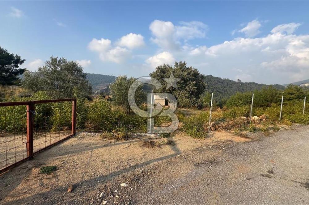 Kavacık’da geniş arazi içerisinde müstakil ev