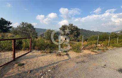 Kavacık’da geniş arazi içerisinde müstakil ev