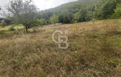 COLDWELL BANKER NET GAYRİMENKUL'DEN ARTVİNDE SATLIK TARLA