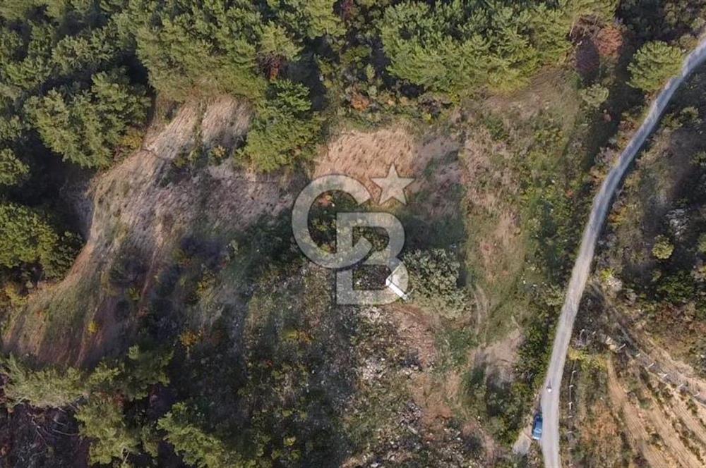 Kavacık’da geniş arazi içerisinde müstakil ev