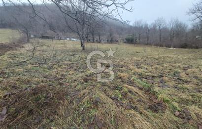 COLDWELL BANKER NET GAYRİMENKUL'DEN ARTVİNDE SATLIK TARLA