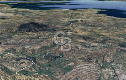 CB KİNG'DEN BALIKESİR/GÖMEÇ KUYUALAN MAH.SATILIK ZEYTİNLİK