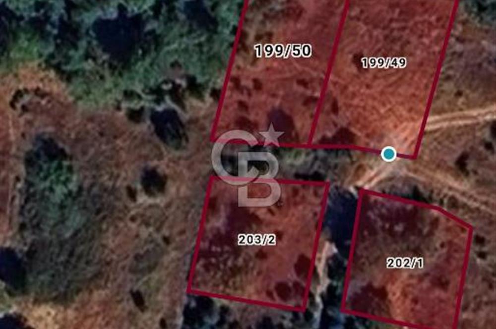 GELİBOLU BURHANLI’DA BOĞAZ MANZARALI FIRSAT ARSA