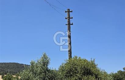 GELİBOLU BURHANLI’DA BOĞAZ MANZARALI FIRSAT ARSA
