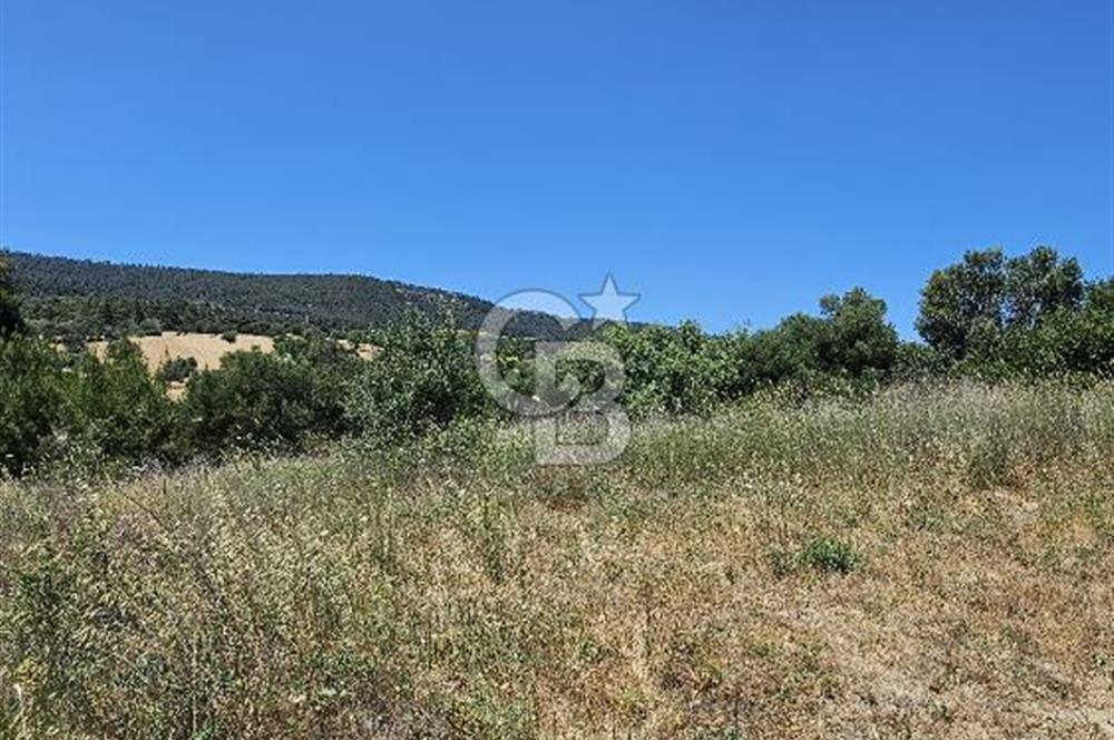 GELİBOLU BURHANLI’DA BOĞAZ MANZARALI FIRSAT ARSA