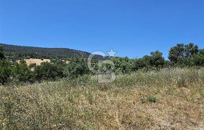 GELİBOLU BURHANLI’DA BOĞAZ MANZARALI FIRSAT ARSA