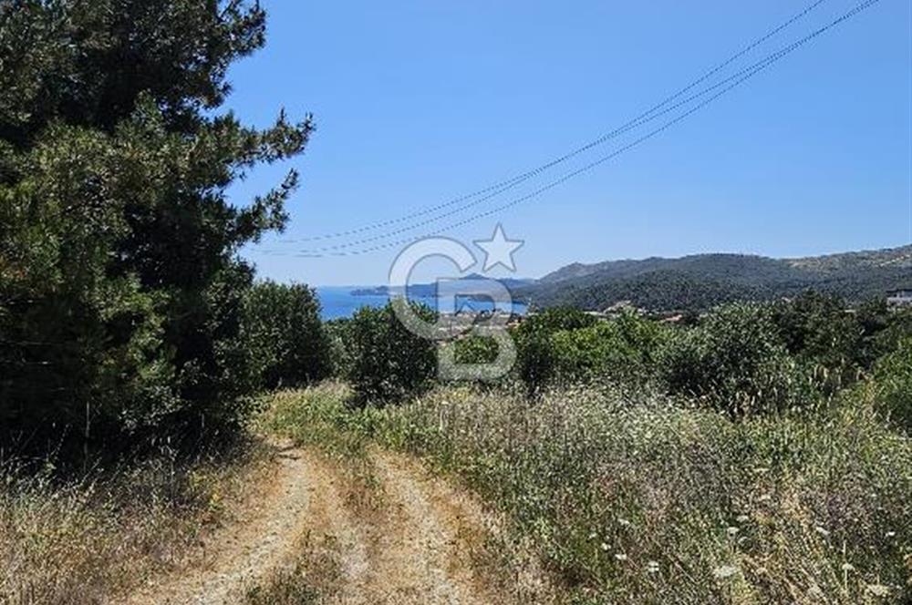 GELİBOLU BURHANLI’DA BOĞAZ MANZARALI FIRSAT ARSA