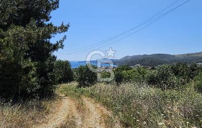 GELİBOLU BURHANLI’DA BOĞAZ MANZARALI FIRSAT ARSA