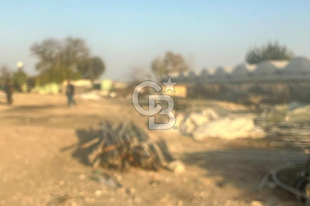 Mersin Kazanlı Sanayi Bölgesine Yakın Yatırımlık Tarla 