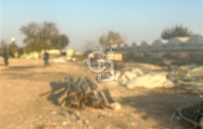 Mersin Kazanlı Sanayi Bölgesine Yakın Yatırımlık Tarla 