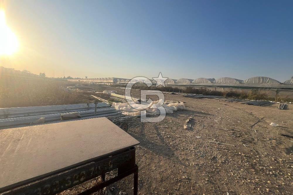 Mersin Kazanlı Sanayi Bölgesine Yakın Yatırımlık Tarla 