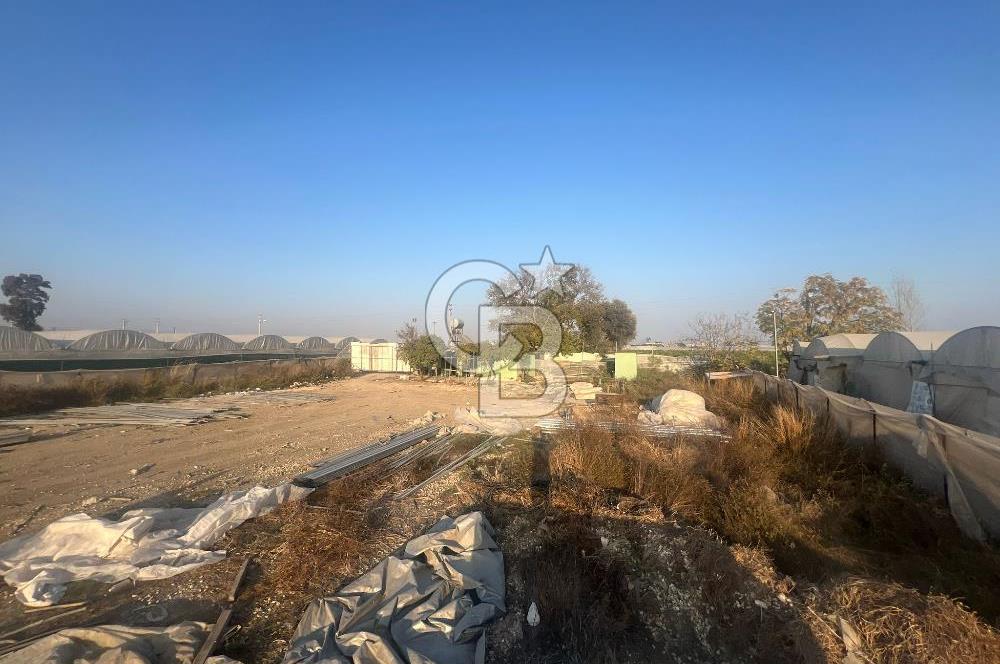 Mersin Kazanlı Sanayi Bölgesine Yakın Yatırımlık Tarla 