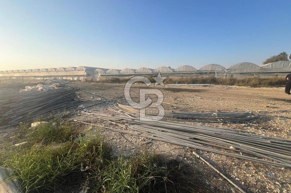 Mersin Kazanlı Sanayi Bölgesine Yakın Yatırımlık Tarla 