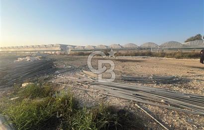 Mersin Kazanlı Sanayi Bölgesine Yakın Yatırımlık Tarla 